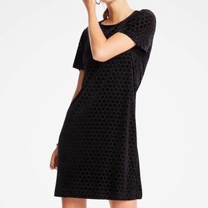 Ann Taylor Velvet Dot Shift Dress Short Sl…